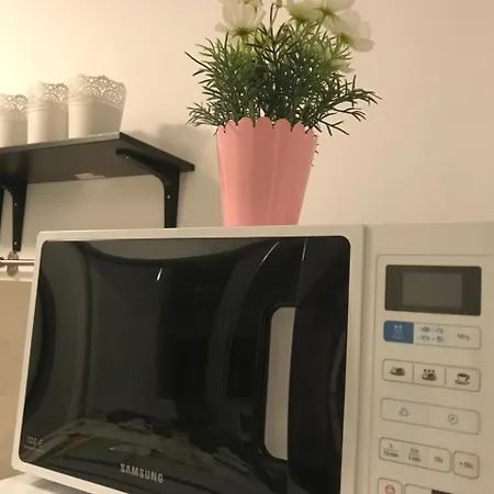 21 * 布加勒斯特