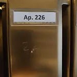 21 *